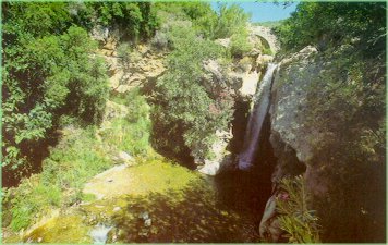 REMANSO DEL RO ALAMINOS